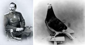 Kaiser Wilhelm II, carrier pigeon, WWI