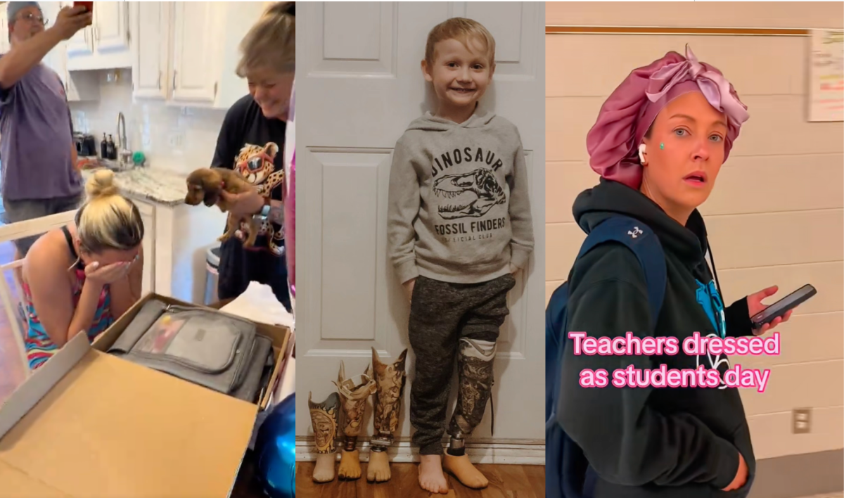 A surprise dog, Arlo and his "leggys" and teachers dressing as their students.