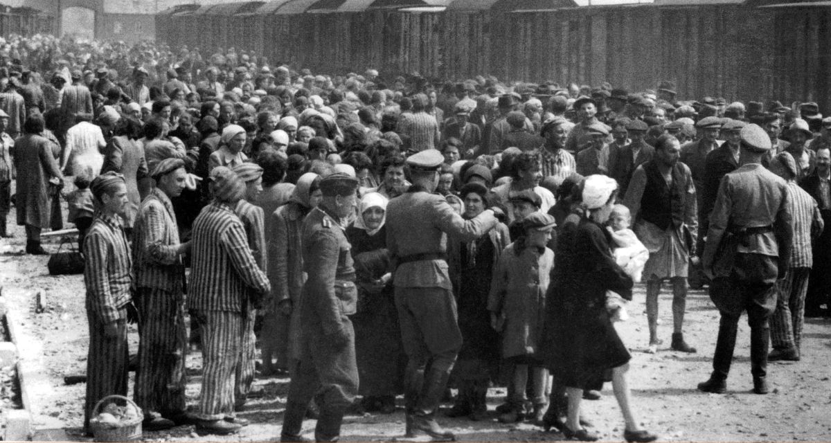 holocaust, holocaust baby, jewish, adoption, holocaust survivor