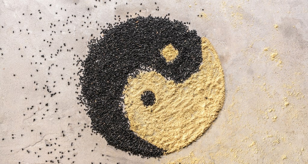 yin yang, life, balance, light vs dark, yin yang real meaning