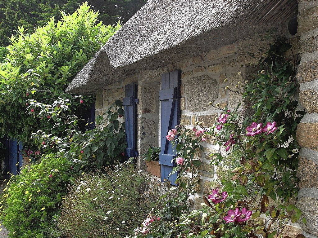Garden, cottage, transformation, wildlife, astroturf