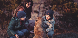 Lyme disease, ticks, dogs, health, diagnosis