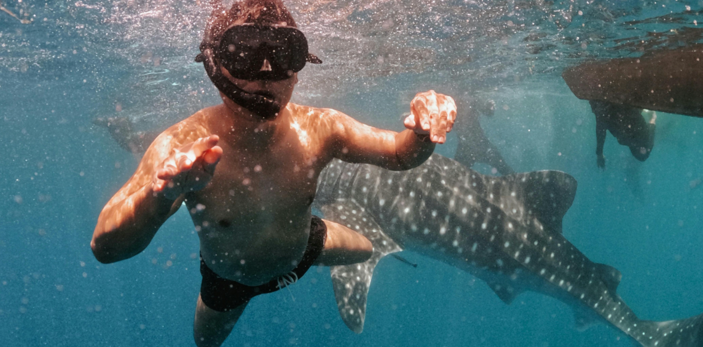 shark attack, tourniquet, life-saving, friendswood, Texas