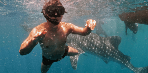 shark attack, tourniquet, life-saving, friendswood, Texas