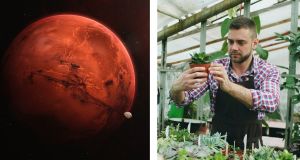 mars, planting seeds, science
