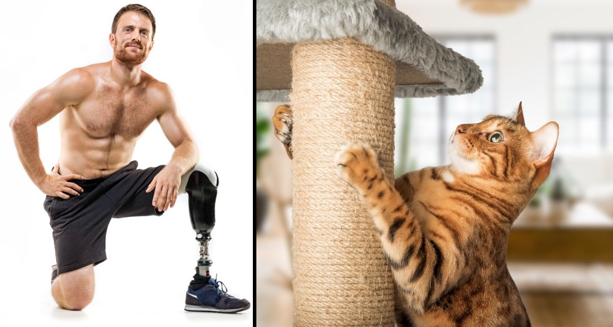 alex parra, amputee, cat enrichment
