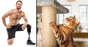 alex parra, amputee, cat enrichment