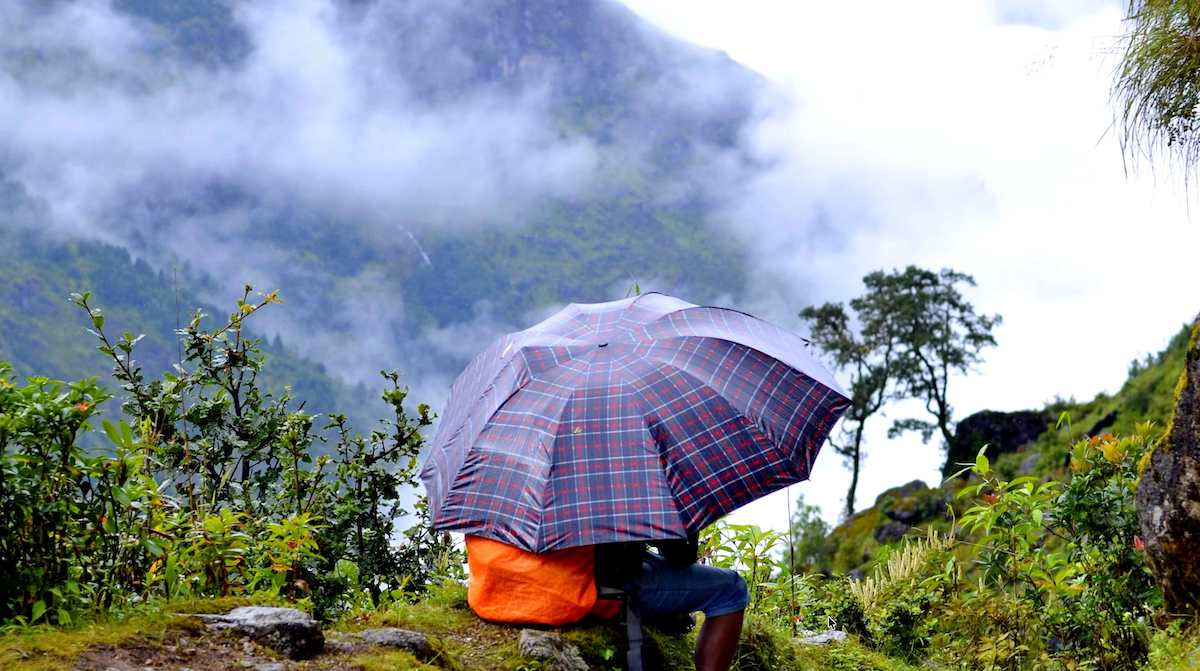 World News, Survival, True Stories, Family, Natural Disasters