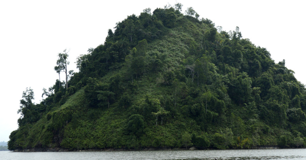 Officials thought this floating island was an ai hoax. then it moved 19 miles.