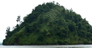 nature, natural wonder, ai hoax