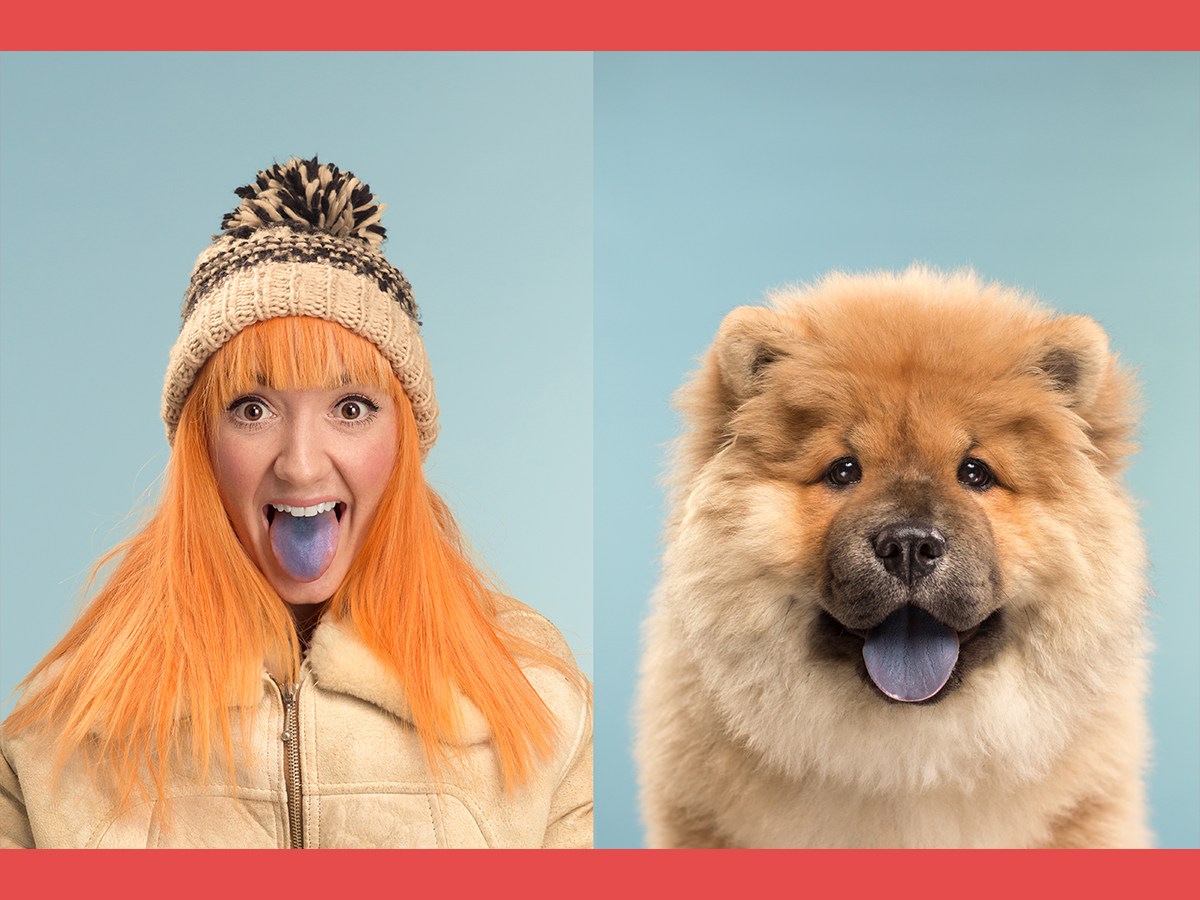 Gerrard Gethings, animal portraits, humor, lookalike