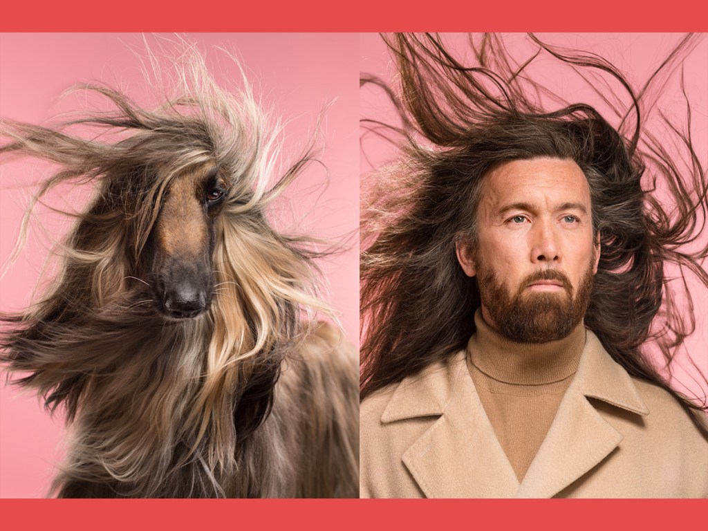 Gerrard Gethings, dog, human, look-alike