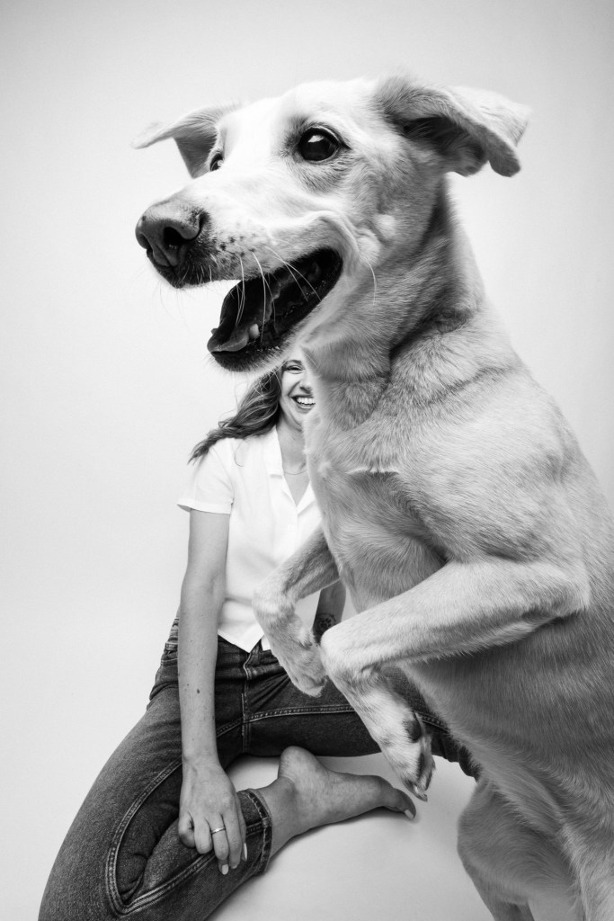 Dog Photography Awards, photo, winner