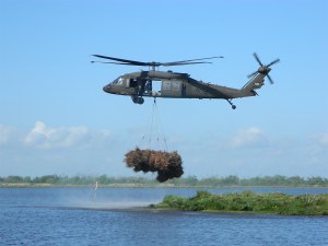 National Guard, Christmass, restoration, trees