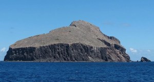 Redonda Island, rewilding, Caribbean