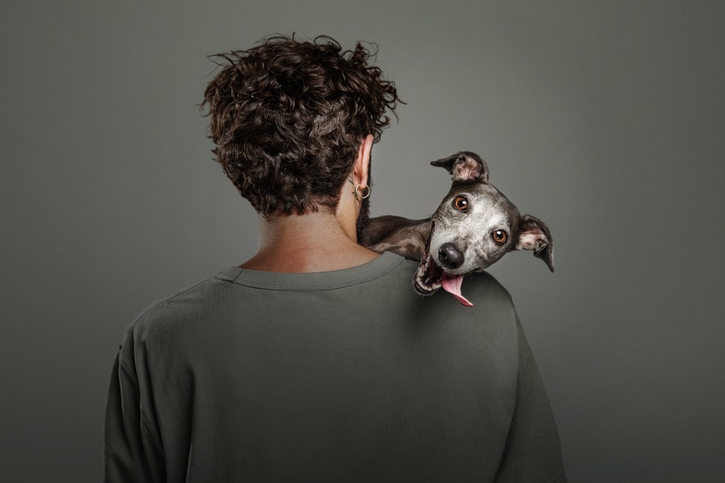 Dog Photography Awards, photo, winner