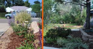garden, gardening, garden in a box, garden in a box Colorado, garden in a box yard