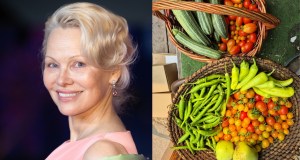 pamela anderson, pamela anderson garden, pamela anderson food, pamela anderson food bank, gardening