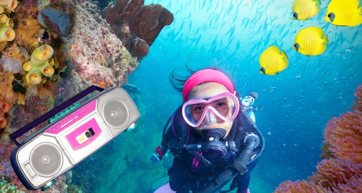 science, oceans, reefs