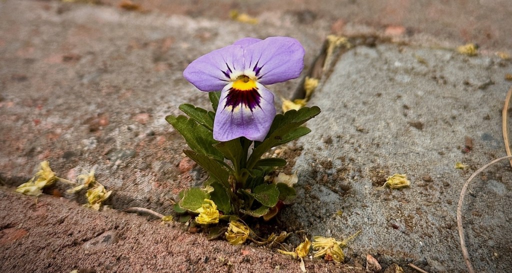 How becoming ‘addicted to appreciation’ can keep you from becoming a grumpy adult